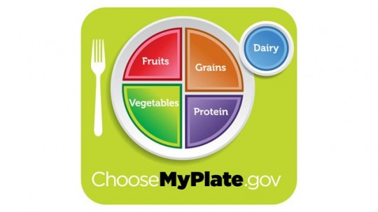 The U.S. government's new food plate emphasizes vegetables, fruits, whole grains, and lean meats.